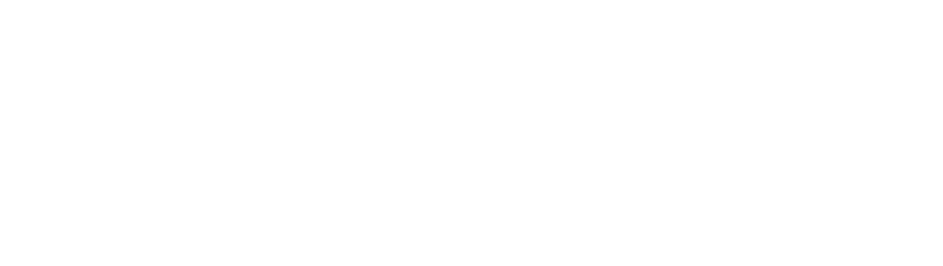 HomeRise — A Newfound Brand