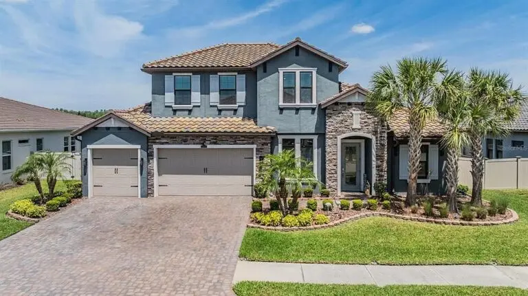29043 Picana Lane, Wesley Chapel